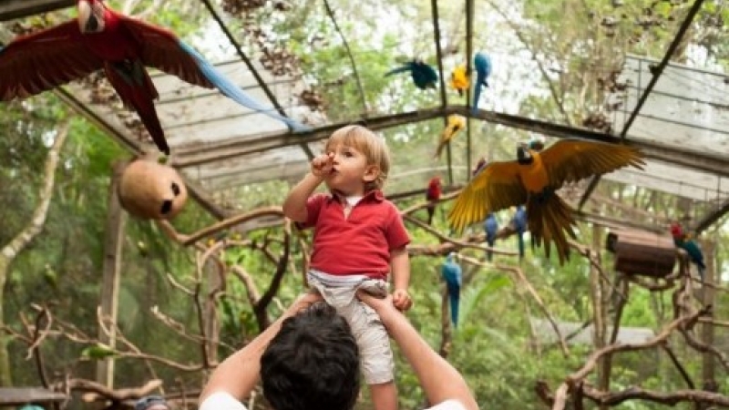 Diversão nas férias: locais próximos e ótimos para passear com as crianças