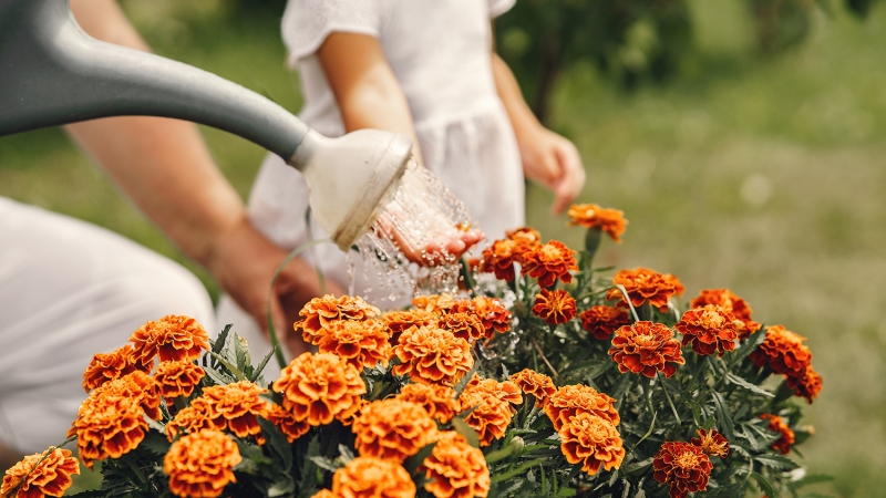 Que legado você vai deixar?